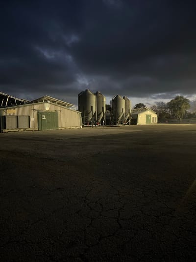 The image captures an outdoor industrial or agricultural scene under a dramatic, dark, and cloudy sky. The photograph is oriented vertically, with the sky filling the left side of the frame and the ground occupying the right. If rotated correctly (90 degrees clockwise), the dark, overcast sky would be at the top, dominating the upper portion of the scene with swirling, ominous-looking clouds that suggest either an approaching storm, heavy rain, or very early morning/late evening twilight.

The ground, in the lower portion of the correctly oriented image, is a dark asphalt surface, showing significant cracking and wear, suggesting it is a well-used road or lot.

In the mid-ground, a series of structures stands. On the far left (bottom if rotated), there is a long, low building constructed with light-colored corrugated metal siding. It features a dark green door. To its right and slightly behind, are three prominent, large, grey, cylindrical tanks. These tanks have conical tops and bottoms and are supported by visible metal frames and piping, suggesting they are industrial silos or storage containers, possibly for grain, liquid, or chemical materials. Further right and slightly behind these tanks, another smaller building with a light tan or light green exterior is visible.

In the distant background, beyond the structures, a line of trees can be seen, some appearing bare as if deciduous in winter, and others with foliage, hinting at a natural landscape bordering the facility. The lighting is dim and diffused, casting soft shadows, consistent with an overcast day or the low light of dawn or dusk. There is no visible text in the image. The overall mood is somewhat stark and industrial, accentuated by the heavy sky.