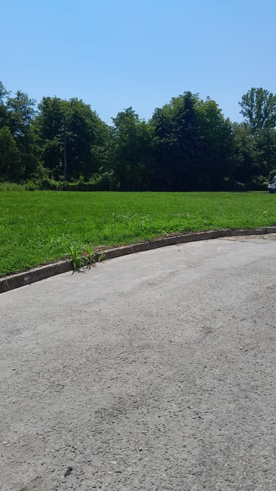 The image depicts a roadside scene in Leshnitsa, Bulgaria. The viewpoint is from ground level, looking across a strip of green grass towards a paved surface. The grass is well-maintained and appears to be a park or public area, bordered by a concrete curb. Beyond the grass, a dense line of lush green trees forms a dark backdrop against a clear, bright blue sky. The trees suggest a natural, possibly wooded environment adjacent to the paved area. The paved surface, which occupies the right side of the image, is a rough, grey asphalt or concrete, textured with small stones. There is no activity or event taking place in the image; it is a static view of an outdoor environment. The time of day appears to be daytime, with bright sunlight casting minimal shadows, and the weather seems clear and fair. There is no visible text in the image.