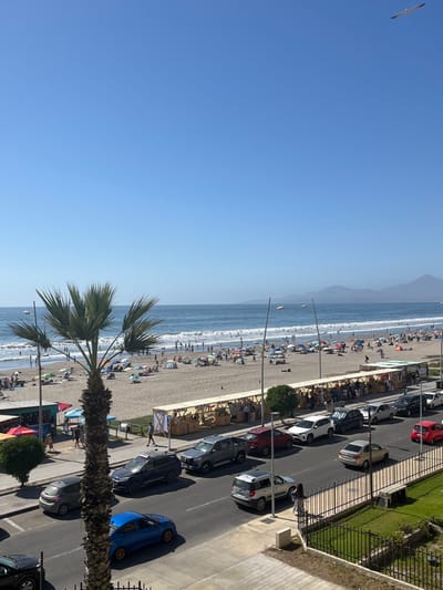 A beach scene on a sunny day. The ocean borders the sand, which is dotted with people, umbrellas, and beach gear. A row of street lights lines the beach. A street runs parallel with parked cars. A palm tree appears in the foreground. A sidewalk and fence are to the right of the street. In the bright blue sky, a bird is flying. Mountains are visible in the background.