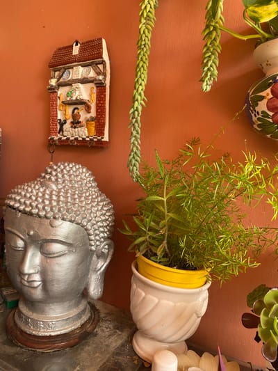 This image displays a collection of decorative items and plants arranged against an orange-brown wall. The primary subjects are a silver Buddha head statue, a small diorama of a miniature shop or dwelling, and several potted plants.
The Buddha head is large and detailed, with a serene expression. It sits on a wooden base. To the left of the Buddha head is a small, rectangular diorama depicting an interior scene with miniature furniture, kitchenware, and what appear to be figures or figurines. This diorama is attached to the wall by a thin chain.
Above and to the left of these items, several plants are visible. One plant, a "donkey's tail" succulent, hangs down with its characteristic chain of fleshy, segmented leaves. Another plant, with delicate, feathery green foliage, is in a yellow pot which is placed inside a white, ornate vase. Other succulents with green and reddish leaves are also seen at the top of the image.
The overall scene appears to be an indoor decorative arrangement. There are no indications of people or any specific activity taking place. The lighting suggests it is daytime, but the specific time is not discernible. The location cues do not offer any specific clues about the time of day, weather, or emotions. There are no visible text elements in the image.