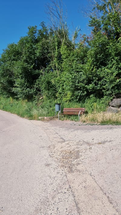 A park bench with a trash can is situated next to a pathway in a green area under a clear blue sky. The bench is made of wood and has metal legs. The trash can is dark gray. The pathway is paved with a rough, light-colored material. Lush green trees and vegetation line the background. The scene appears to be a public outdoor space, possibly in Sant Joan les Fonts, Spain.