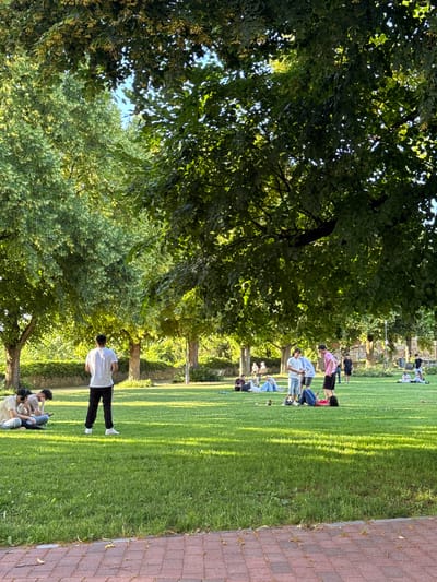 The image depicts a group of people enjoying a sunny day on a grassy area in Esslingen am Neckar, Germany. The scene is set in a park with mature trees providing shade. In the foreground, a paved area with red bricks borders the lawn.

Several individuals are scattered across the lawn. On the left side of the image, two young men are seated on the grass, one wearing headphones and looking at his phone, the other leaning back. Further into the park, a lone figure in a white t-shirt and black pants stands facing away from the camera.

In the mid-ground, a group of people are gathered. Some are sitting or lying on the grass, while others are standing. One person is wearing a pink t-shirt and black shorts, another a white t-shirt and denim shorts. There is a soccer ball on the grass near this group.

In the background, more people are visible relaxing on the lawn. The park is characterized by lush green grass and a variety of trees with dense foliage. The overall atmosphere suggests a leisurely outdoor activity on a pleasant day.
