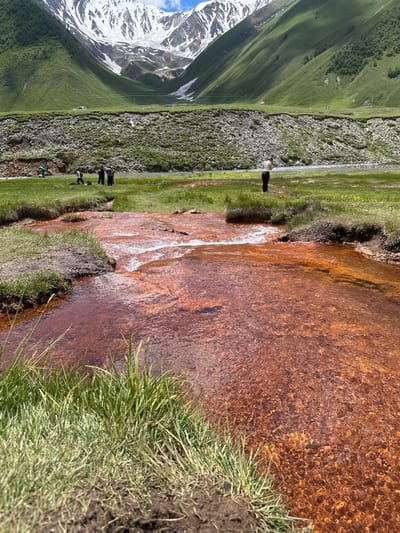The image depicts a scenic mountain landscape with a reddish-brown stream in the foreground. The stream's banks are lined with green grass and some patches of bare earth. In the middle ground, several people are visible, some standing and observing the stream and the surrounding scenery. One person is closer to the stream, while others are further back in a grassy field.

Behind the stream and the people, a vast, lush green mountainside dominates the background. The mountain is covered in vibrant green vegetation, with some trees visible on its slopes. Further to the left, a snow-capped mountain peak rises majestically, indicating a high-altitude location. The sky is partially visible and appears to be a clear blue with some white clouds.

The overall scene suggests a natural park or a hiking trail in a mountainous region. The time of day appears to be daytime, with bright sunlight illuminating the landscape, casting shadows and highlighting the textures of the water and grass. The weather seems pleasant and suitable for outdoor activities. The presence of people suggests that this is a location visited by tourists or locals for recreation and appreciating the natural beauty. The reddish hue of the stream might indicate mineral content, common in natural springs or geothermal areas. The location is identified as Ketrisi, Georgia.
