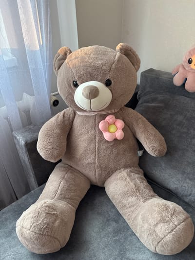 A large, plush, brown teddy bear with a pink ribbon around its neck and a pink flower with a yellow center on its chest is sitting on a gray sofa. To the right of the teddy bear, partially visible, is a smaller, pink plush octopus toy. In the background, to the left of the teddy bear, sheer white curtains are visible, with light filtering through them. The scene is indoors, likely in a residential setting. The image does not contain any information related to the city of Kalisz, Poland.