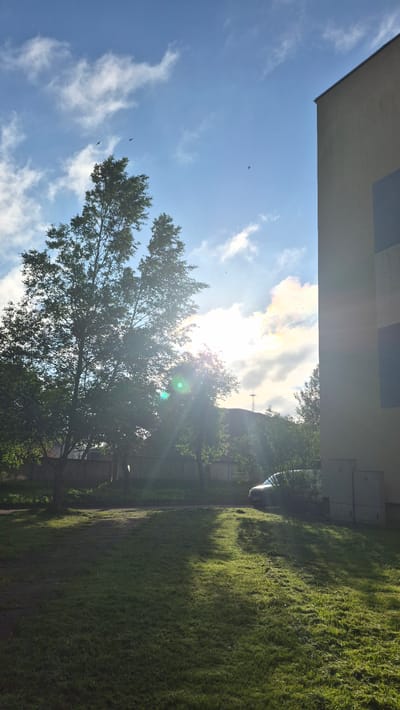 This image, taken in Krauja, Latvia, depicts an exterior scene on a bright, sunny day. The frame is dominated by a large tree with lush green foliage in the left foreground, partially obscuring the sun which creates a lens flare effect. To the right, a portion of a light-colored, modern building is visible, featuring a dark rectangular panel. A dark-colored car is parked to the right of the tree, partially hidden by overgrown bushes. The ground is covered with mown grass, showing streaks of lighter and darker green from recent cutting, and casting long shadows. In the background, a low fence and more trees are visible. The sky above is a vibrant blue with scattered white clouds, and several small birds are captured in flight. Electrical utility boxes are positioned near the building's base.