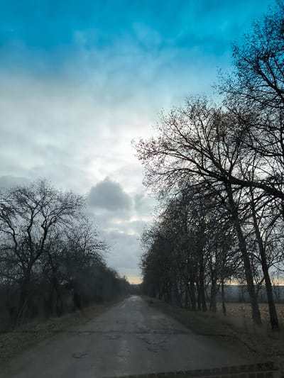 This image depicts a rural scene along a road in Khrinivka, Ukraine. The central feature is a straight, unpaved or heavily degraded asphalt road with numerous puddles and potholes, extending into the distant horizon. The road surface appears wet or damp.

On both sides of the road, rows of leafless deciduous trees form an avenue. The trees on the right are taller and more uniformly spaced, casting distinct dark silhouettes against the sky. The trees on the left appear more varied in size and shape, with some exhibiting gnarled branches. Beyond the trees on the right, a flat expanse of agricultural land, possibly a field, is visible.

The sky occupies the upper two-thirds of the frame, characterized by a gradient from a light, clear blue at the top transitioning to a predominantly overcast, whitish-grey cloud cover towards the horizon. A bright, diffused light source, likely the sun, is obscured by these clouds, creating a luminous area in the upper-middle portion of the sky. No individuals or active subjects are present within the frame. The perspective suggests the image was captured from a slightly elevated position, possibly from a vehicle, with a dark, textured element visible along the very bottom edge of the frame. The overall environment suggests a late autumn, winter, or early spring setting due to the leafless trees and subdued color palette.