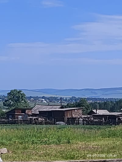 This is a horizontal, eye-level, medium-shot photograph of a rural landscape in Konovalovo, Russia, taken on July 4, 2026, at 9:41 AM. The scene features a collection of wooden buildings, likely farm structures, situated in the foreground and midground. These buildings have rustic wooden exteriors and some have visible roofs made of corrugated metal or wood. A wooden fence encircles at least part of the property. Tall green grass and vegetation cover the ground in front of the buildings, suggesting a natural, undeveloped area. In the background, a dense line of trees marks the edge of the settlement, beyond which rolling hills stretch towards the horizon under a clear blue sky with faint clouds. The overall impression is one of a peaceful, agrarian setting. There are no people or animals visible in the frame.