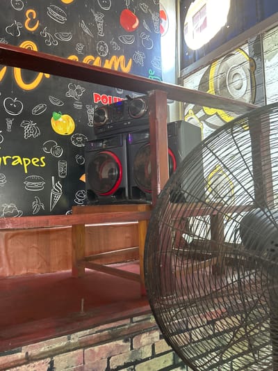 The image depicts a close-up view of a sound system with speakers, positioned on a wooden shelf against a black wall adorned with white line drawings of fruits and food items. A large, industrial-style fan with a dark metal cage occupies the foreground on the right side of the frame, partially obscuring the sound system and a brick wall structure. The wall also features a large, stylized drawing of a snail. The lighting suggests an indoor environment, possibly a commercial establishment, with sunlight filtering in from an upper window. No people are visible in the frame. The scene is consistent with a location in Walasmulla, Sri Lanka, likely a business or entertainment venue.