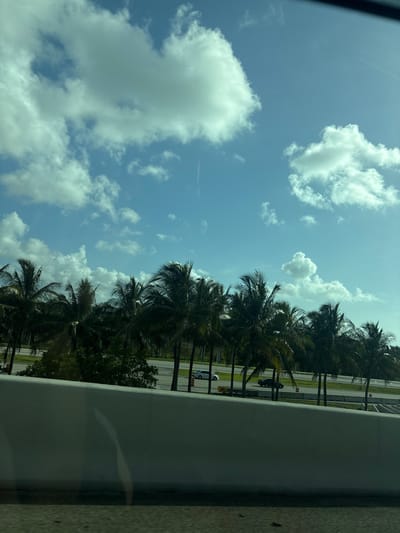 The image depicts a view from a vehicle, likely traveling on an elevated highway in Dania Beach, Florida. A white concrete barrier runs along the foreground, obscuring the lower portion of the scene. Above the barrier, a line of palm trees stretches across the mid-ground, their fronds silhouetted against a bright blue sky dotted with scattered white cumulus clouds. Beyond the palm trees, a highway is visible with several cars driving on it. The overall impression is one of a sunny, tropical day in a suburban or highway environment.