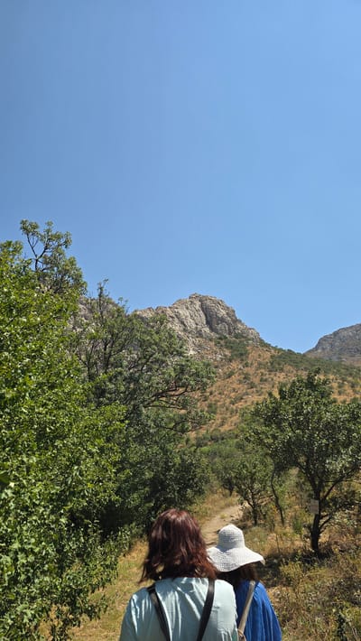 In the city of Terekty, Kazakhstan, two individuals are walking away from the camera on a dirt path that winds through a mountainous, arid landscape. The sky above is clear and bright blue. In the foreground, lush green foliage borders the path on the left side. The two people are dressed casually, with one wearing a light blue t-shirt and a backpack, and the other wearing a wide-brimmed white hat and a blue garment. Ahead of them, the path leads towards a rocky, barren mountain peak. The terrain is characterized by sparse vegetation, with shrubs and dry grasses scattered across the hillsides. The overall scene suggests a hike or exploration in a natural, outdoor environment.