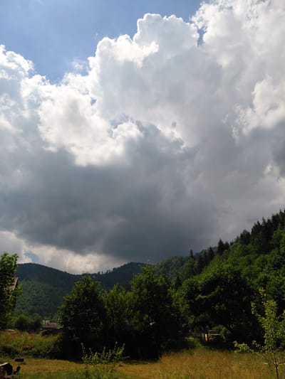 A dramatic sky with heavy, dark clouds dominates the upper portion of this vertical, outdoor photograph. The clouds are thick and appear to be gathering, with hints of blue sky and lighter white clouds peeking through near the top. Below the turbulent sky, a lush, green hillside recedes into the distance, densely covered with trees. The trees are a vibrant green, creating a thick canopy that obscures much of the land. Some of the trees in the foreground are darker and more defined, while those further back blend into a softer, more generalized mass of green.
In the middle ground, nestled amongst the trees, are several buildings with dark roofs, suggesting a small settlement. The architecture is not clearly discernible, but they appear to be rural or village structures. A patch of open, grassy area with dry, yellowed grass and scattered wildflowers is visible in the lower part of the image, extending from the foreground into the middle ground. A partially visible structure, possibly a wooden fence or enclosure, can be seen in the lower right corner.
The overall impression is one of a natural landscape under changing weather conditions, likely in a rural or mountainous area. The specific location in the city of Chernyk, Ukraine, is not directly evident from the visual information within the photograph itself. The scene captures a moment of natural beauty, possibly before or during a rain shower. There are no people or animals visible in the image.