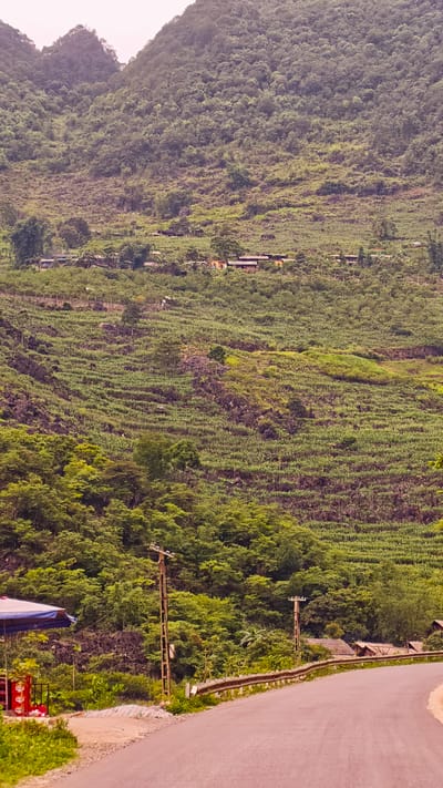 The image depicts a hillside in Cán Tỷ Commune, Vietnam, characterized by terraced farming. The terraces are covered with cultivated crops. A cluster of houses is visible mid-hill. In the foreground, an asphalt road curves alongside a metal guardrail, with power poles positioned near the road. A small roadside stall or shop is to the left of the road, identifiable by a blue tarp. The overall environment is lush and green.