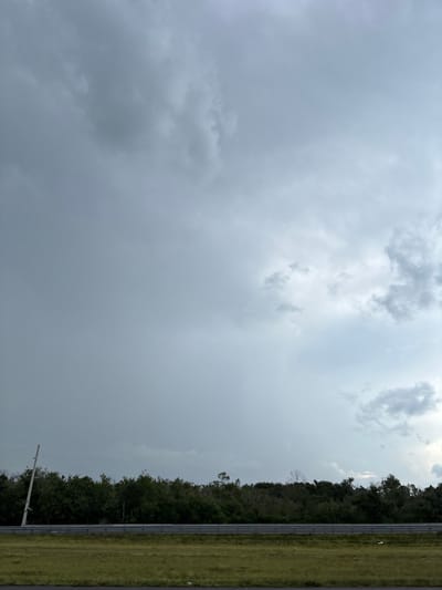 The image captures a wide shot of a cloudy sky with a line of trees in the background, a highway barrier, and a grassy roadside. A tall, white pole, possibly a light post, is visible on the left side of the frame, leaning slightly. The sky is predominantly gray with patches of lighter clouds, suggesting overcast conditions or an approaching storm. The dense line of trees forms a green barrier across the horizon. A metal highway barrier runs horizontally across the middle of the image, separating the road from the grassy verge. The grass is a muted green, indicating it may be dry or recently mowed. The scene appears to be a roadside environment, common in suburban or rural areas. No people or vehicles are visible in the frame. The image does not provide specific landmarks or contextual clues to pinpoint an exact location within the city of Bradenton, United States.
