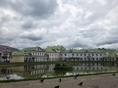 This image captures a serene scene of a long, pale yellow building with a vibrant green roof, reflecting in a still body of water. The building features a symmetrical design with numerous windows and dormer windows on the roof, suggesting it might be a historical estate or administrative building. A black fence runs along the edge of the property, separating it from the water. In the middle of the pond, a small, overgrown island with a rustic wooden structure adds a touch of natural charm.

The foreground is dominated by a paved walkway made of interlocking bricks, with several pigeons scattered across it, some standing still, others captured in mid-stride or flight. The water's surface is calm, mirroring the building and the cloudy sky above. The sky itself is filled with dramatic, grey clouds, indicating overcast or potentially stormy weather. The overall atmosphere is tranquil, with a hint of melancholy due to the somber sky.

The time of day appears to be daytime, given the visibility, but the cloudy conditions suggest diffused light. The architectural style of the building, particularly the green roof and window placements, coupled with the overall ambiance, hints at a location with a rich history, consistent with the provided location context of Sergiyev Posad, Russia. No visible text is present in the image.
