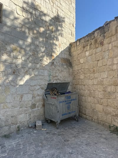 In Ürgüp, Turkey, a domestic cat with tabby markings is positioned on the open lid of a grey, wheeled metal dumpster. The dumpster is situated in a narrow alleyway formed by two stone walls. The wall to the left is constructed of lighter, rough-hewn stones and is partially illuminated by dappled sunlight casting tree shadows. The wall to the right is made of larger, tan-colored stones. The ground is paved with grey cobblestones. The dumpster has text printed on its side, including "TBB", "TÜRKİYE BELEDİYELER BİRLİĞİ", and "ÇEVREMİZİ TEMİZ TUTALIM". A few pieces of debris are scattered on the ground near the dumpster. The sky is clear and blue.