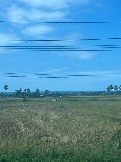 The image depicts a wide view of a rural landscape, likely in Jeneponto, Indonesia, characterized by a vast, dry, golden-brown field in the foreground. The field shows signs of recent harvest, with stubble and dry stalks. In the middle ground, a solitary figure, possibly a farmer, is visible wearing a conical hat, working in the field. Beyond the field, a line of lush green trees, including palm trees, borders the horizon. A small, simple building with a dark roof is nestled among the trees. Further in the distance, the bright blue expanse of the ocean is visible. The sky is a vibrant blue, with scattered white clouds and several parallel power lines stretched across the upper portion of the frame. The overall impression is one of a serene, agricultural setting under a clear sky.