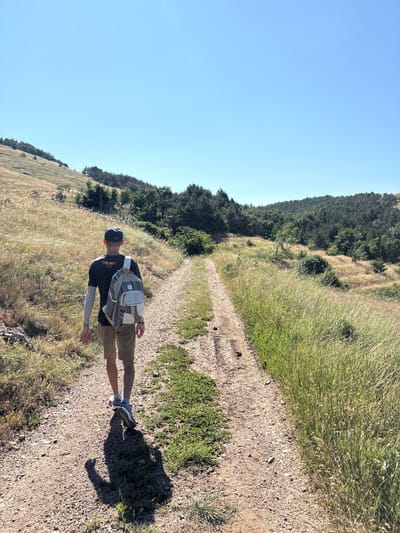 A lone individual walks away from the camera on a dirt path in a grassy, hilly landscape under a clear blue sky. The person is wearing a dark t-shirt, khaki shorts, a dark baseball cap, and a backpack with a patterned fabric. The path is flanked by dry grass and sparse green vegetation on the left, and taller, lush green grass on the right. In the background, a wooded hillside recedes into the distance, with a dense cluster of dark green trees forming the upper portion of the scene. The sun is high in the sky, casting a long shadow of the walker on the path. The overall impression is one of a tranquil, outdoor excursion in a natural setting.