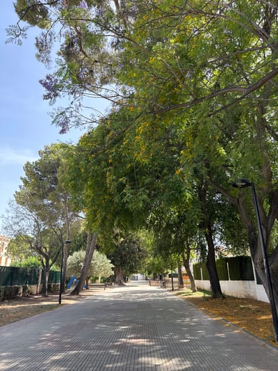 The image depicts a tree-lined pathway in Benirredrà, Spain. The scene is bathed in bright sunlight, suggesting it is daytime. The pathway is paved with grey rectangular tiles and bordered by a grassy verge covered with fallen yellow leaves. Large trees with lush green foliage and some with small yellow flowers line the left side of the path. There are also trees with purple flowers visible. In the background, there's a building with white walls and dark windows, and some greenery, possibly hedges. Park benches and lampposts are present along the path, and a blue children's play structure is visible in the distance. The overall impression is one of a tranquil park or public space, likely in spring or early summer given the flowering trees. No people are clearly visible in the frame, and no text is discernible.