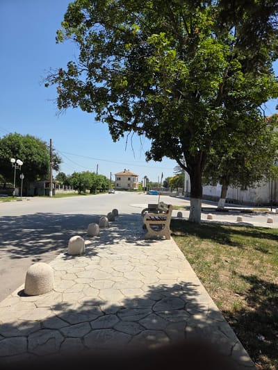 This is a photograph taken in the city of Todor Ikonomovo, Bulgaria, on a clear, sunny day. The foreground features a light-colored, textured concrete walkway with a pattern resembling large, irregular stones. Along the edge of the walkway and separating it from the street are several rounded, light-colored bollards. A bench with a light-colored concrete frame and wooden slats for the seat and back is positioned on the walkway, casting a shadow.
To the left of the walkway, a paved road curves gently. Along the road, there are more bollards and a patch of grass. A large tree with dense green foliage dominates the right side of the frame, its trunk painted white at the base. Further back, a street light with three globe-shaped lamps stands on a pole. Beyond the road, there are various buildings, including a two-story house with a terracotta tiled roof. A white car is visible driving on the road in the middle distance. Trees line the street and form the backdrop of the scene. The sky is a clear, bright blue. The overall impression is a quiet, residential area during the daytime.
