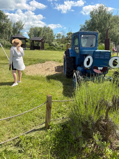 The image displays an outdoor scene on a bright, sunny day, featuring a person, a decorated tractor, and park-like elements.
A person, viewed from behind, walks across a verdant green lawn from left to right. They are dressed in a light-colored, long-sleeved top, dark shorts, white sneakers, and a straw hat. In their right hand, they hold a long white object, possibly a selfie stick. The sun casts distinct shadows, indicating midday or early afternoon.
To the left of the person and towards the background, two wooden gazebos with dark, pointed roofs are visible, set among scattered trees. The sky above is a clear blue with several white, cumulus clouds.
Prominently featured on the far left is a blue tractor, which has been whimsically decorated to resemble a cartoon character. It sports large white eyes with black pupils and a wide-open mouth revealing a pink tongue, giving it an animated expression. The tractor has robust black tires with white sidewalls and a rusty, upward-pointing exhaust pipe. A white number "6" is visible on its side. It is partially obscured by a dense bush of slender green plants, possibly lavender, that runs along the left edge of the walking area.
A simple barrier, composed of a rope strung between wooden posts, extends along the right side of the pathway where the person is walking. The ground is predominantly covered in lush green grass, with some drier, lighter patches visible further into the field.
There is no visible text in the scene beyond the number "6" on the tractor. The overall atmosphere suggests a leisurely and pleasant outdoor setting.