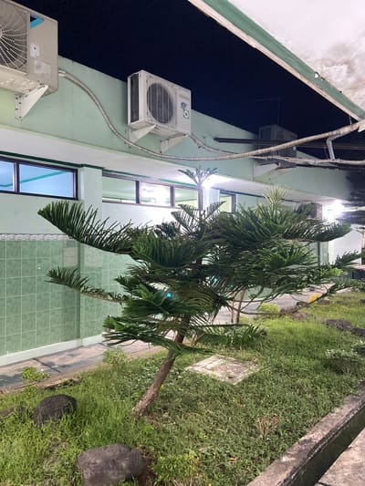 The image depicts an outdoor scene at night in Margoyoso, Indonesia. In the foreground, a lush green plant with spiky needles is prominent, with its trunk leaning to the right. It is surrounded by green grass and several dark, irregularly shaped rocks. To the left, there is a paved walkway bordered by a concrete structure. In the midground, a light-colored building features green tiled walls and a row of windows with dark frames, reflecting light from within. Two outdoor air conditioning units are mounted on the light green exterior wall of the building, connected by a ribbed tube. One unit is on the left, and another, smaller unit is to its right. Further to the right, another air conditioning unit is visible. The background is dominated by a dark, clear night sky, with the faint outline of an antenna visible above the building. The overall impression is of a quiet, utilitarian outdoor space adjacent to a building.