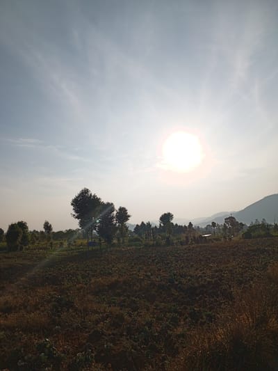 The image depicts a wide-angle view of a rural landscape under a bright, hazy sky. In the upper portion of the image, the sun is prominently displayed as an intense, glowing orb, casting a soft light that diffuses across the sky. Wispy clouds are scattered across the sky, appearing lighter and more translucent in the direction of the sun.

The middle ground is characterized by a line of trees of varying heights, some appearing as dark silhouettes against the brighter sky, while others are more clearly defined. The trees are dense in places, creating a tree line that extends across the frame. Amongst the trees, a small, blue tarp or tent-like structure is partially visible.

The foreground is dominated by a large, tilled field. The soil appears dark and uneven, suggesting recent cultivation. Patches of dry grass and some low-lying green vegetation are interspersed throughout the field. In the far background, rolling hills and mountains are visible, their shapes softened by atmospheric haze. The overall scene conveys a sense of open space and natural environment, likely during the morning or late afternoon given the sun's position and light quality. The image does not contain any people or animals. The location is identified as Yakkurugala, Sri Lanka.