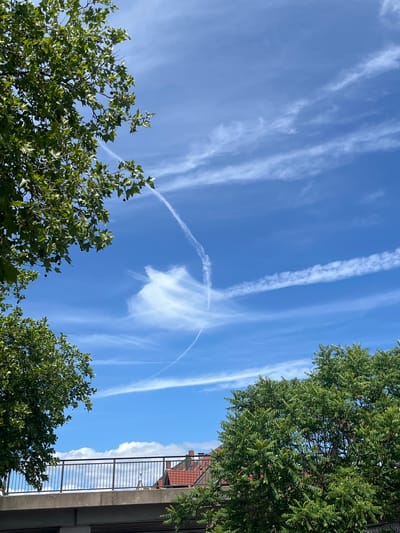 The image captures a view looking up towards a bright blue sky with several white contrails and wispy clouds. The curvature of one prominent contrail forms a semi-circular arc in the center of the frame, with a thicker cloud formation at its apex. The perspective is framed by green foliage from trees in the lower left and upper right corners. A building is partially visible on the right side of the frame, showing a grey wall, a black railing, and a glimpse of a red-tiled roof above. The photograph does not contain any people or animals. The location details (Landau in der Pfalz, Germany) are mentioned in the prompt but are not visually discernible from the image itself.