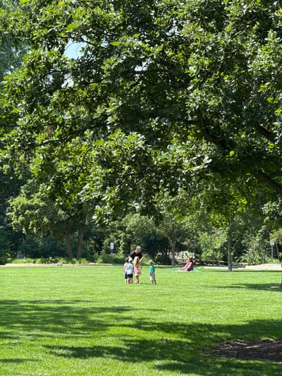 The image shows a grassy field in a park, with a large tree in the foreground. In the middle ground, a group of four children are standing and facing away from the camera. One adult, wearing a black shirt, stands behind the children. In the background, a woman is sitting on a blanket on the grass, facing away from the camera. The scene appears to be in a city park. The location is the city of Naperville, United States of America.