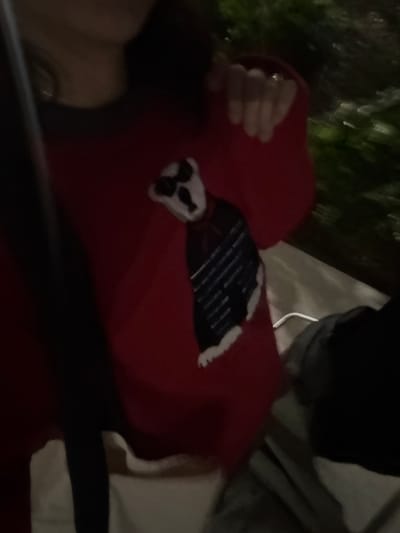 A blurry image depicts a red shirt with a badger emblem, featuring a white and black badger head and a body with blue stripes. The shirt is worn by someone whose face is partially visible on the left. A hand is near the upper left. A gray or white surface appears behind the person, with hints of black clothing visible nearby. The image has a dark and somewhat grainy quality.