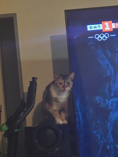 The image depicts an indoor scene located in Blaye, France. A domestic calico cat, featuring white, tan, and brown patches, sits directly on a dark, rectangular audio speaker. The cat faces forward, with its front paws resting on the speaker's upper surface. To the cat's right, a large, vertical television screen is active, displaying a broadcast that includes the Cyrillic text "·Б·Н·Т·" and an orange numeral "1" within a red rectangle, positioned above the Olympic rings symbol in the upper left corner. The remaining area of the screen shows a dark blue, textured background. To the left of the cat and speaker, a black, vertical apparatus with a handle and a green attachment is partially visible. The background wall is a plain, light color, with a dark doorway opening partially visible on the far left. An angular shadow is cast on the wall between the doorway and the television.