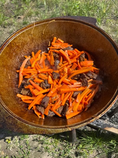 The image shows a close-up, overhead view of a rustic, well-used cast-iron pot containing food being cooked outdoors. The pot is filled with julienned carrots and chunks of meat, possibly beef, interspersed with what appear to be slivers of onion. Wisps of steam rise from the ingredients, indicating they are actively cooking. The cast-iron pot has a dark, seasoned patina with some lighter flecks, and appears to be sitting over an open fire, suggested by the embers and burnt wood visible at the bottom right of the frame. The background consists of green grass and dry ground, consistent with an outdoor setting. The scene suggests a meal being prepared in a traditional outdoor cooking environment, possibly in the city of Bolshiye Dvory, Russia, given the information provided. There are no people visible in the image.