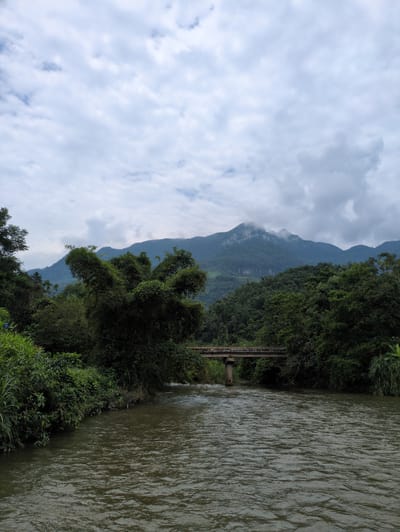The image shows a wide, murky river flowing through a lush, green landscape. On the left bank, dense vegetation grows, including tall grasses and leafy bushes. A concrete bridge with a yellow railing spans the river in the middle distance, supported by concrete pillars. Beyond the bridge, the landscape rises into rolling hills covered with dense forest. In the background, a majestic mountain range dominates the scene, its peaks partially shrouded in clouds. The sky is overcast with diffused light. The overall impression is one of a natural, somewhat wild environment, potentially a rural area in Vietnam given the reference to Ngọc Đường Commune. There are no people or animals visible in the image.