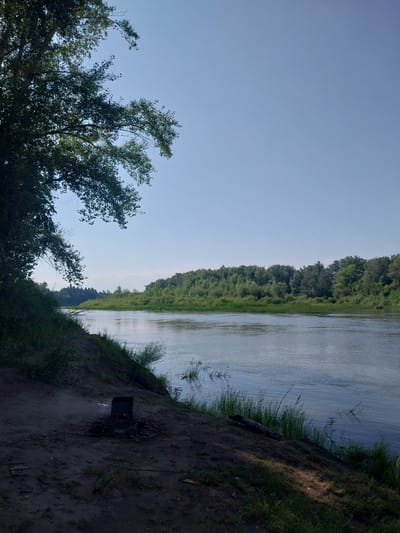 This image captures a serene riverside scene, likely on the outskirts of Chkalov, Russia, characterized by a tranquil river flowing through a verdant landscape under a clear blue sky. The foreground features a gently sloping bank covered in dry earth and sparse green grass, with a small, weathered metal brazier and remnants of a campfire. To the left, a large tree with lush green foliage extends over the bank, its branches reaching towards the sky, providing a natural frame for the scene.
The river, wide and calm, reflects the soft hues of the sky and the surrounding greenery. On the opposite bank, a dense, continuous line of trees forms a vibrant green wall, creating a sense of depth and natural beauty. The water's surface is disturbed by subtle ripples, suggesting a gentle current. A small, dark object, possibly a boat or a raft, is visible on the far right of the river, hinting at human presence or activity in the distance. The overall atmosphere is peaceful and untouched, evoking a sense of natural solitude and the quiet beauty of a summer day.
