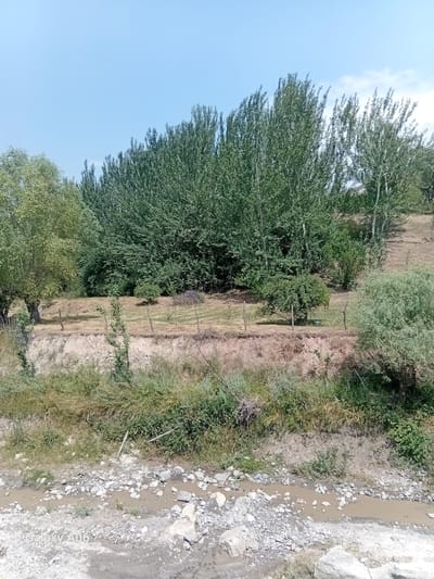 The image shows a natural landscape with a dry creek bed in the foreground. The creek bed is filled with rocks and pebbles, and there is some dry grass and brush growing along its edges. In the background, there are several trees with dense green foliage. A gentle slope covered with dry grass rises behind the trees. The sky is clear and blue. The scene appears to be located in a rural or natural setting. A watermark with the text "Galaxy A06" is visible in the bottom left corner of the image.