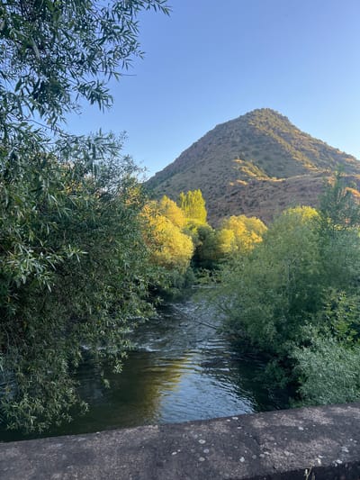 The image depicts a scenic view of a natural landscape with a river, vegetation, and a mountain in Vayk, Armenia. The river flows on the right side of the image, with its surface reflecting the surrounding trees and the sky. Lush green trees and bushes line the riverbanks, with some trees displaying yellow foliage, suggesting it might be autumn or that the sun is catching them in a particular way. The prominent feature on the left is a large, rocky mountain slope covered in sparse vegetation. The sky is clear and blue, indicating fair weather. The lighting suggests it is daytime, likely morning or afternoon, with the sun casting shadows and illuminating parts of the mountain and trees. The overall mood is serene and natural, showcasing the beauty of the Armenian countryside. There is no visible text in the image.