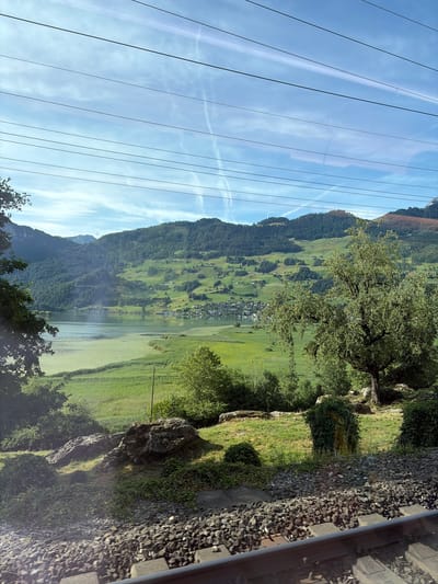 The image captures a scenic view from a train traveling through a rural landscape. In the foreground, train tracks run diagonally across the bottom of the frame, composed of dark ballast stones and concrete sleepers. Beyond the tracks, the ground is covered in short green grass with scattered rocks and bushes. A large, mature tree with lush green foliage stands prominently on the right side of the frame, its branches casting shadows. In the mid-ground, a body of water, likely a lake, is visible, bordered by a dense green reed bed. Further in the distance, rolling hills covered in dark green forests and dotted with small houses and fields form a picturesque backdrop. The sky is a bright blue with scattered white clouds, and several overhead power lines are visible. The overall impression is of a serene, natural environment with human infrastructure present.
The location is identified as Steinen, Switzerland, suggesting a view of the Swiss countryside, possibly along a railway line that passes by Lake Lauerz, given the topography and water body. No people are visible in the image. The scene is static and depicts a natural landscape with elements of human activity, such as the train tracks and scattered buildings on the hills.