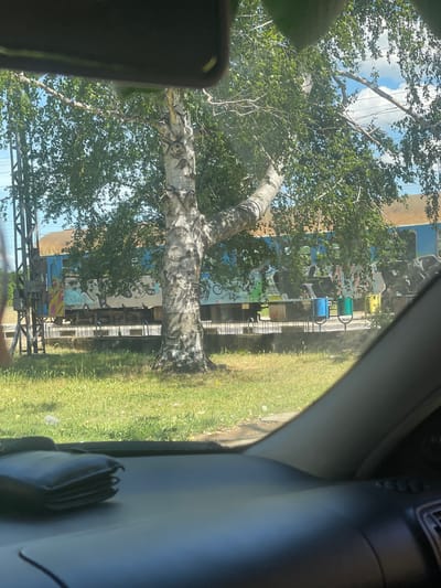 The view from inside a vehicle shows a white birch tree with green leaves in Tulovo, Bulgaria. Behind the tree is a railway car with graffiti art. There are metal railway tracks in front of the car. Green grass grows on the ground near the railroad tracks. Blue and green trash cans sit on a platform beside the tracks. The sky is visible through the branches. The car’s dashboard and door frame are visible on the right of the image.