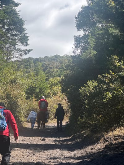 The image depicts an outdoor scene on a sunlit dirt path through a dense, green forest in a mountainous region, consistent with areas around San Vicente Pacaya, Guatemala. The path, winding gently, is visible on the right side of the frame, bordered by lush trees and undergrowth. Beyond the immediate vegetation, tree-covered hills extend into the background under a partly cloudy sky with bright patches.
Several people are engaged in an outdoor activity. In the mid-ground, one individual, wearing a red top and a light-colored backpack, is riding a dark horse, heading away from the viewer. Another person in a light-colored shirt walks alongside the horse. Further ahead on the path, a person in dark clothing is walking. In the foreground, partially visible, is an individual wearing a red jacket and a light blue backpack. The scene suggests a group on a trekking or horseback riding excursion through a natural landscape. The time of day appears to be bright daylight. No visible text is present in the image.