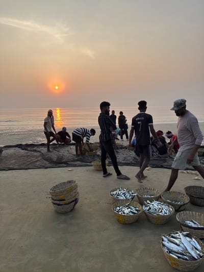 The scene depicts post-fishing activities on a sandy beach in Betalbatim, India, at either sunrise or sunset, indicated by a low sun reflecting across the calm ocean waters. Approximately fifteen individuals, predominantly male, are present on the beach. A large, dark fishing net is spread across the wet sand, with several figures crouched over it, appearing to sort or collect fish. Numerous woven bamboo baskets, both full and empty, are distributed across the foreground and mid-ground on the dry sand. Baskets contain various fish species, including small schooling fish and larger barracuda-like fish. Specific individuals observed include a man wearing a "RONALDO 7" jersey walking towards the water, a man in a cap and light-colored attire walking towards the foreground, and a bearded man with a striped shirt standing with folded arms. The ambient light presents with a slight atmospheric haze.
