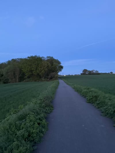 The image, taken in Gometz-le-Châtel, France, presents a serene twilight landscape. A dark, possibly damp, asphalt path or narrow road extends into the distance, flanked by vibrant green fields. The path appears to subtly curve as it recedes from view.
On the left side of the path, a dense line of trees and bushes stands with dark foliage silhouetted against the fading light. On the right, the field is bordered by lower, lush green vegetation and shrubs running alongside the path.
The sky overhead is a clear, deep blue, characteristic of dusk or dawn. A very faint, wispy streak, possibly a contrail, is barely visible in the upper left section of the sky. In the far distance, along the path's trajectory, several small, bright points of light suggest artificial illumination from streetlights or distant structures. No people or specific buildings are visible. The scene conveys a sense of peaceful tranquility in a rural or semi-rural setting as day transitions to night. No visible text is present in the media file.