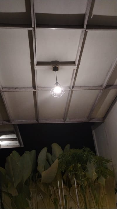 A downward-angle shot captures a lit, geometric pendant light hanging from a light-colored, paneled ceiling at night. The ceiling structure consists of rectangular panels framed by metallic supports. Below the ceiling, a dark background suggests an outdoor or open-air space. In the foreground, the upper portions of large, lush green leaves are visible, some appearing to be of a banana or bird of paradise plant. A smaller, leafy plant, possibly a papaya tree, is also present, with thin, vertical white stakes interspersed among the foliage. The scene is dimly lit by the pendant light, with shadows cast on the ceiling. The overall ambiance is that of an outdoor dining or seating area, possibly at a restaurant or cafe in Banjarsari, Indonesia, during nighttime.
