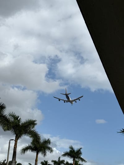 From a ground-level perspective, a passenger airplane is flying against a partly cloudy sky. The aircraft, featuring four engines mounted under its wings, is captured in mid-flight. Palm trees are visible on the right side of the frame, adding a tropical feel to the scene. The top left corner shows part of a dark building structure, indicating the vantage point is from within an urban setting.