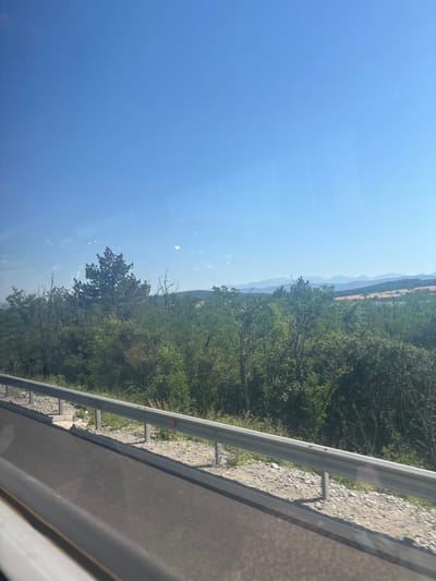 The image captures a scenic view of a landscape, likely from a moving vehicle, with a clear blue sky overhead. In the foreground, a portion of an asphalt road is visible, bordered by a metal guardrail. Beyond the guardrail, a dense forest of green trees stretches across the middle ground. A solitary, tall evergreen tree stands out prominently amidst the foliage. In the distance, rolling hills and mountains fade into the horizon under the bright sky. The scene is devoid of any human presence or specific urban elements, suggesting a rural or natural setting. The mention of Novi han, Bulgaria, in the prompt appears to be an external context not directly deducible from the visual information presented in the image.