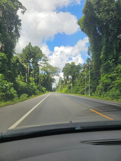 The media file depicts a roadside view from within a vehicle, possibly a car or van, as it travels along a paved road. The road curves gently to the right, with a white dashed line marking its center and a solid yellow line on the right edge. The road surface appears slightly damp, suggesting recent rain or high humidity, and reflects the bright sky.

Flanking the road is dense, lush green vegetation, indicating a tropical or subtropical environment. Tall trees with full canopies create a tunnel-like effect, with some sunlight filtering through to the road. In the distance, several utility poles with visible wires can be seen alongside the road, suggesting the presence of infrastructure within this natural landscape.

Above the trees, a vibrant blue sky is dotted with fluffy white clouds. The clouds are illuminated by the sun, indicating it is daytime, likely late morning or afternoon, given the brightness and the angle of the light. The overall scene conveys a sense of journeying through a serene, green, and natural setting.

There are no people visible in the image. The primary objects are the road, the surrounding foliage, and the vehicle's interior elements visible on the right side of the frame. The setting is a tropical road, and the activity is travel. There are no visible text elements in the media file.