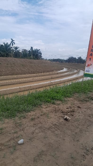 A landscape showcases a field with distinct parallel rows likely for agriculture, bordered by greenery. The soil appears moist or possibly flooded in the rows. Adjacent to the field, a patch of earth and grass transitions into a dirt path. Tall trees stand in the background beneath a partly cloudy sky. A banner or sign is present, partially visible in the upper left corner. The scene suggests a rural or agricultural area.