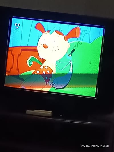 The image shows a close-up of a television screen displaying a cartoon. The cartoon features a white, dog-like character with orange ears, sitting on a green surface with orange and red elements in the background. The character has large eyes and appears to be holding something green. A bright green horizontal line runs across the bottom portion of the screen, indicating a technical issue with the display. The overall scene is colorful, with a bright blue wall in the background. Below the television, a small, light-colored object, possibly a remote control or a button, is visible. The bottom right corner of the image shows a timestamp: "25.06.2026 23:30". The setting appears to be indoors, given the presence of the television. The emotion conveyed by the cartoon character is unclear due to the image quality and the technical glitch.