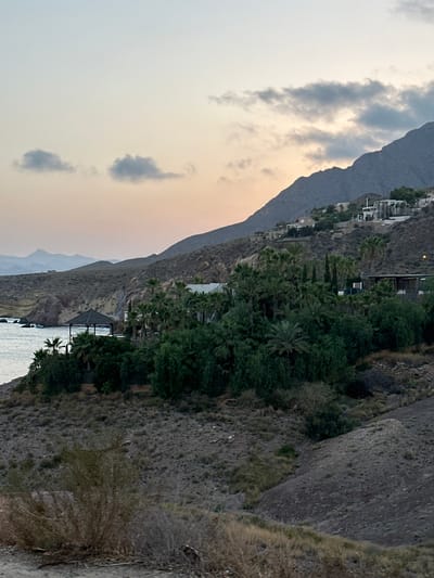 The image depicts a coastal landscape in Bolnuevo, Spain, at dusk. A gentle slope of dry, rocky terrain dominates the foreground, sparsely dotted with dry brush and some green vegetation. As the terrain ascends, it gives way to a lush area filled with palm trees and other dense green foliage. Within this verdant section, a dark-roofed gazebo stands near the water's edge, overlooking the sea.
Further up the hillside, modern white buildings with multiple levels are visible, suggesting residential or resort development. These structures are nestled against a backdrop of rugged, gray mountains that rise steeply into the sky. The sky itself is a pale gradient of pale blue and soft peach, with scattered gray clouds tinged by the setting sun. The sea is calm, with gentle waves lapping at the rocky coastline. No people are visible in the scene.