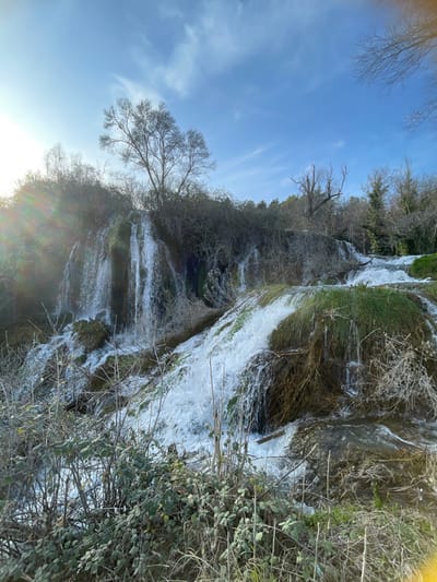 The image depicts a natural waterfall landscape in Zvirići, Bosnia and Herzegovina, under a clear blue sky with sparse white clouds. The sun is visible in the upper left quadrant, producing a prominent lens flare. Multiple cascades of water flow downwards from an elevated, densely vegetated rock formation across the middle and lower sections of the frame. The water is white and turbulent, indicating significant flow. The terrain consists of moss-covered rocks, green grasses, and various deciduous shrubs and trees, many appearing bare or with minimal foliage, suggesting a late autumn or winter season. No individuals are present.