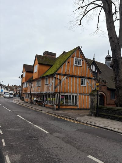 The image depicts a street scene on St Andrew Street, Hertford, East Hertfordshire, United Kingdom, under an overcast sky. In the mid-ground, a prominent multi-gabled, timber-framed building dominates, featuring orange rendered infill panels and dark wooden beams. Its steep brown tiled roof is significantly covered in green moss. White-framed windows are present on both floors, and a blue circular plaque is affixed to the upper facade. The ground floor houses a "FLORIST" shop, indicated by a sign, with various potted plants and a black sandwich board displaying further sales information positioned outside. Two grey concrete bollards are situated on the adjacent paved sidewalk.
To the right of the florist building stands a red brick structure with a dark roof culminating in a prominent cupola. A sign reading "ST NICHOLAS HALL" is visible above its arched entrance. A substantial bare-branched deciduous tree with a thick trunk occupies the far right, its branches extending into the upper right quadrant of the image. A low stone wall with dark coping runs along the sidewalk, partially in front of St Nicholas Hall. A yellow rectangular sign with a black "H" (indicating a hospital) is mounted on a pole near the wall.
The foreground consists of an asphalt road with white dashed lane markings and double yellow lines running parallel to the curb on the right. In the distance, the street curves to the left, lined with additional buildings of varying architectural styles. A white van and other vehicles are parked further down the street on the left. No identifiable individuals are visible in the scene.