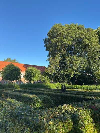 The image shows a large building with a red tiled roof, partially obscured by trees and hedges. The building appears to be made of brick and has several white-framed windows. In front of the building are two large, rounded trees. The foreground is filled with neatly trimmed hedges. To the right, a very large tree with dense green foliage dominates the scene. The sky is clear and blue. This appears to be the courtyard of the former psychiatric hospital, now part of the Horsens State Prison Museum, located in Horsens, Denmark. There are no people visible in the image.